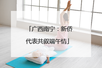广西南宁：新侨代表共叙端午情