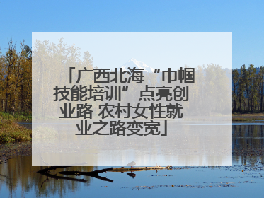 广西北海“巾帼技能培训”点亮创业路 农村女性就业之路变宽