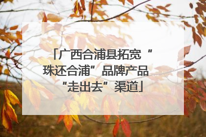 广西合浦县拓宽“珠还合浦”品牌产品“走出去”渠道
