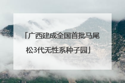 广西建成全国首批马尾松3代无性系种子园