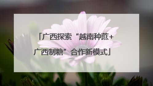 广西探索“越南种蔗+广西制糖”合作新模式