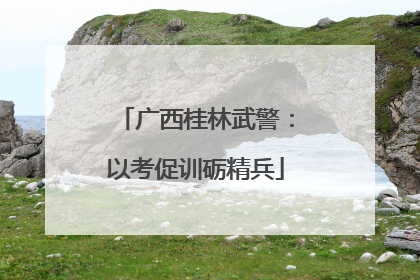 广西桂林武警：以考促训砺精兵