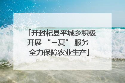 开封杞县平城乡积极开展 “三夏” 服务 全力保障农业生产