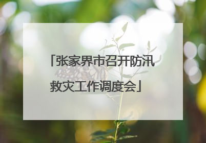 张家界市召开防汛救灾工作调度会