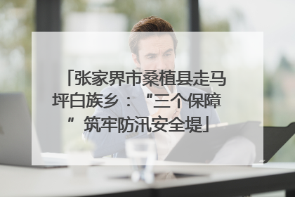 张家界市桑植县走马坪白族乡：“三个保障”筑牢防汛安全堤