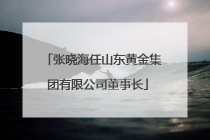 张晓海任山东黄金集团有限公司董事长