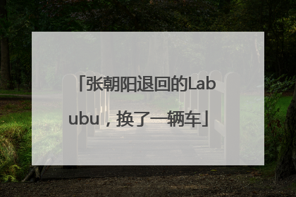 张朝阳退回的Labubu，换了一辆车