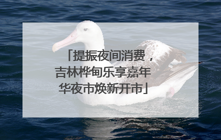 提振夜间消费，吉林桦甸乐享嘉年华夜市焕新开市