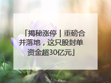 揭秘涨停｜重磅合并落地，这只股封单资金超30亿元