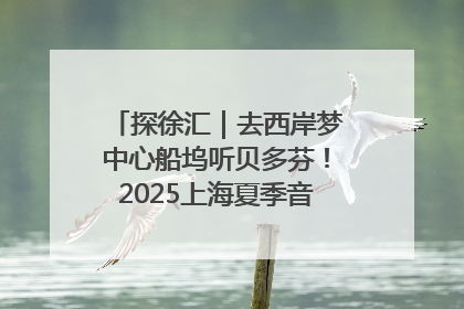 探徐汇｜去西岸梦中心船坞听贝多芬！2025上海夏季音乐节公布节目阵容