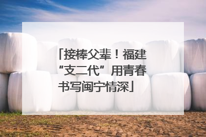 接棒父辈！福建“支二代”用青春书写闽宁情深