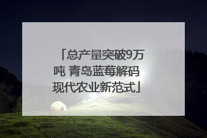 总产量突破9万吨 青岛蓝莓解码现代农业新范式