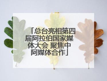 总台亮相第四届阿拉伯国家媒体大会 聚焦中阿媒体合作