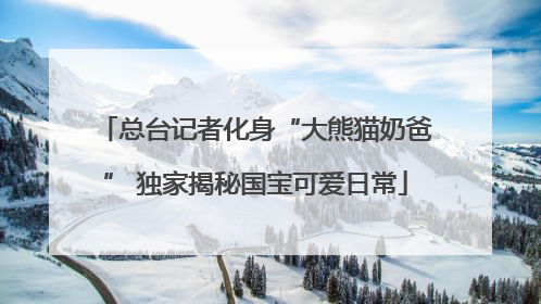 总台记者化身“大熊猫奶爸” 独家揭秘国宝可爱日常
