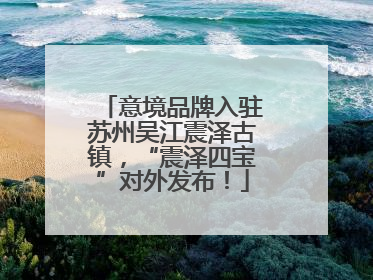 意境品牌入驻苏州吴江震泽古镇，“震泽四宝”对外发布！