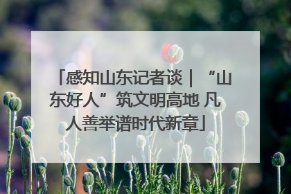 感知山东记者谈｜“山东好人”筑文明高地 凡人善举谱时代新章