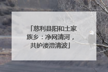 慈利县阳和土家族乡：净网清河，共护溇澧清波