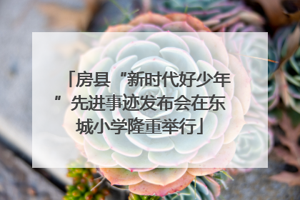 房县“新时代好少年”先进事迹发布会在东城小学隆重举行