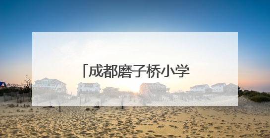 成都磨子桥小学分校举行“六一”主题队日活动暨校园文化艺术节
