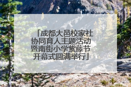成都大邑校家社协同育人主题活动暨南街小学紫藤节开幕式圆满举行