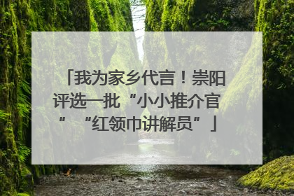 我为家乡代言！崇阳评选一批“小小推介官”“红领巾讲解员”