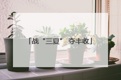 战“三夏” 夺丰收