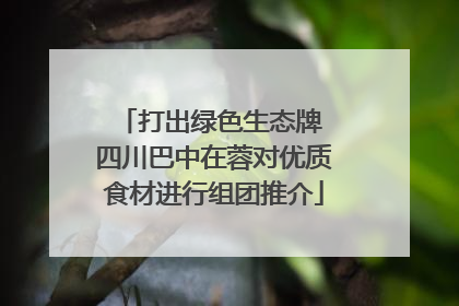 打出绿色生态牌 四川巴中在蓉对优质食材进行组团推介