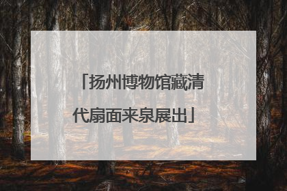 扬州博物馆藏清代扇面来泉展出