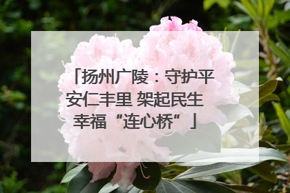 扬州广陵：守护平安仁丰里 架起民生幸福“连心桥”