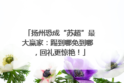 扬州恐成“苏超”最大赢家：踢到哪免到哪，回礼更惊艳！