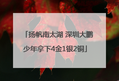 扬帆南太湖 深圳大鹏少年拿下4金1银2铜