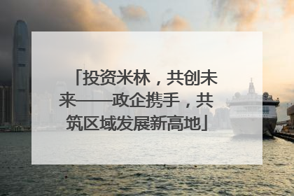 投资米林，共创未来——政企携手，共筑区域发展新高地