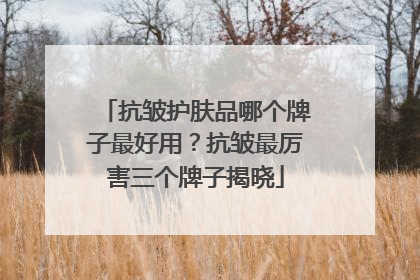 抗皱护肤品哪个牌子最好用？抗皱最厉害三个牌子揭晓