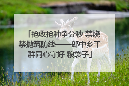 抢收抢种争分秒 禁烧禁抛筑防线——郎中乡干群同心守好 粮袋子