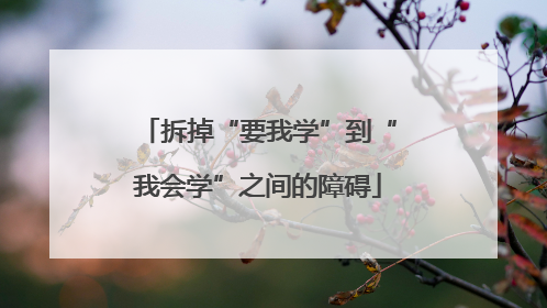 拆掉“要我学”到“我会学”之间的障碍