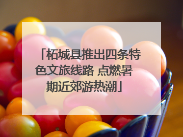 柘城县推出四条特色文旅线路 点燃暑期近郊游热潮