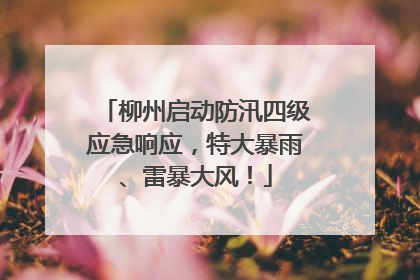 柳州启动防汛四级应急响应，特大暴雨、雷暴大风！