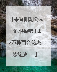来晋阳湖公园一饱眼福吧！12万株百合花热烈绽放……