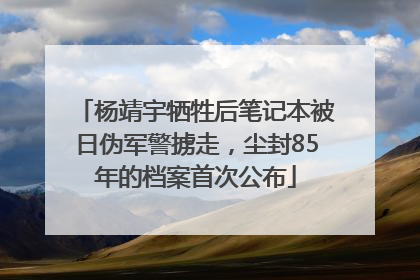 杨靖宇牺牲后笔记本被日伪军警掳走，尘封85年的档案首次公布