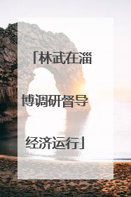 林武在淄博调研督导经济运行