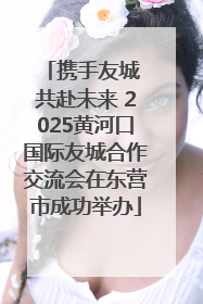 携手友城 共赴未来 2025黄河口国际友城合作交流会在东营市成功举办