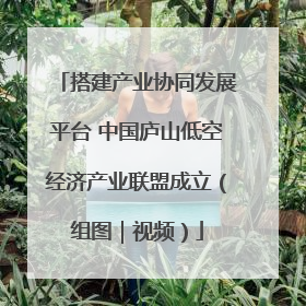 搭建产业协同发展平台 中国庐山低空经济产业联盟成立（组图｜视频）