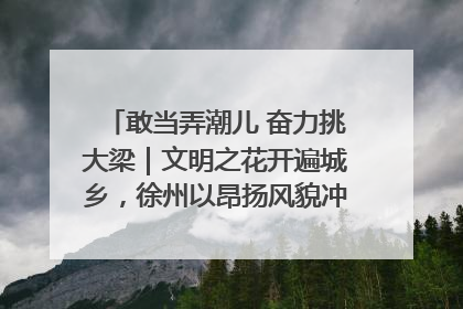 敢当弄潮儿 奋力挑大梁｜文明之花开遍城乡，徐州以昂扬风貌冲刺“万亿之城”