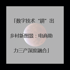 数字技术“耕”出乡村新图景：电商助力三产深度融合
