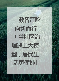数智普陀 向新而行〡当社区治理遇上大模型，居民生活更便捷