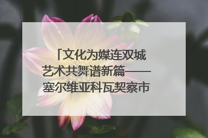 文化为媒连双城 艺术共舞谱新篇——塞尔维亚科瓦契察市代表团访问日照