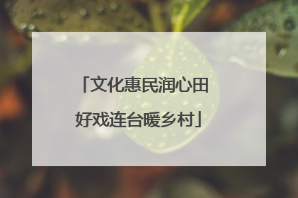文化惠民润心田 好戏连台暖乡村
