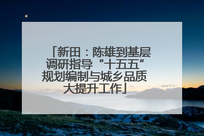新田：陈雄到基层调研指导“十五五”规划编制与城乡品质大提升工作
