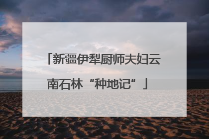 新疆伊犁厨师夫妇云南石林“种地记”