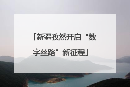新疆孜然开启“数字丝路”新征程